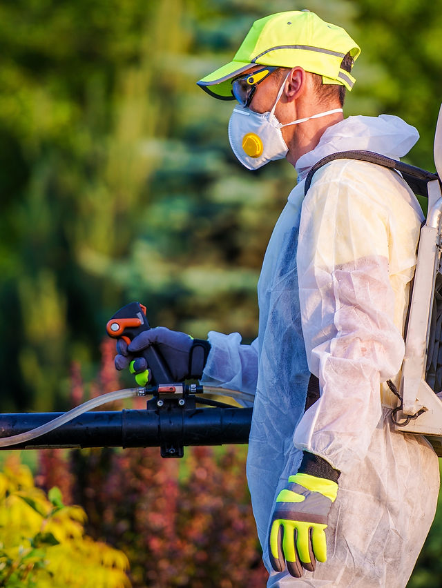 Pest Control Services Orpington – How Our Service