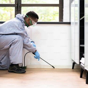 Pest Control Services Swanley
